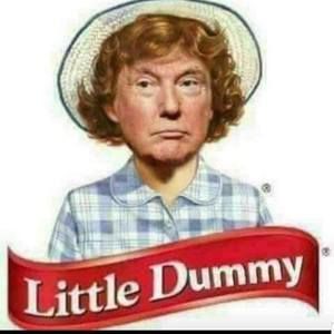 Meet your Posher, Liz